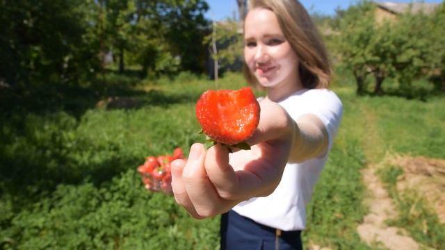 Крым 2021 МАКОВЫЕ ПОЛЯ в Крыму Где и когда в Крыму искать цветущие поля маков Поле ромашек Крым смотреть онлайн