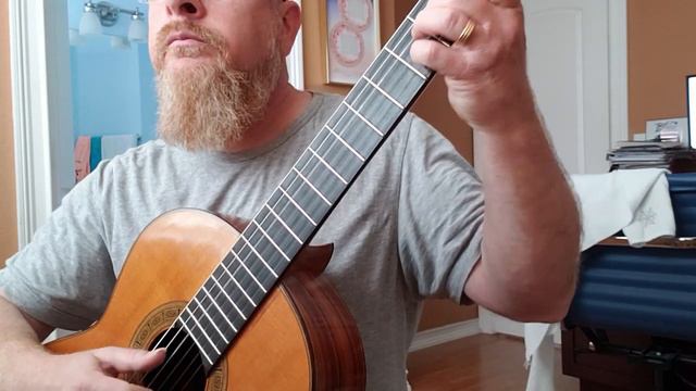 Matteo Carcassi Op. 60 no. 2 смотреть онлайн