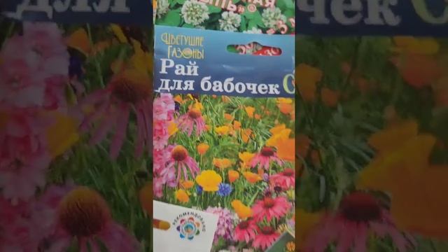 Я начинаю думать о весне :) и обдумывать План огорода! смотреть онлайн