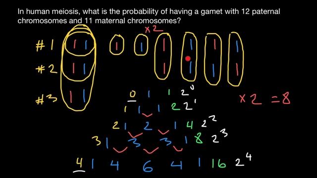 The Secrets of the Pascal's triangle смотреть онлайн