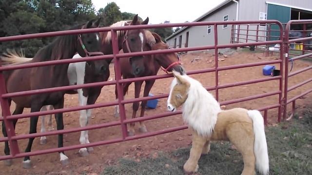 Horses Meet Animated Horse