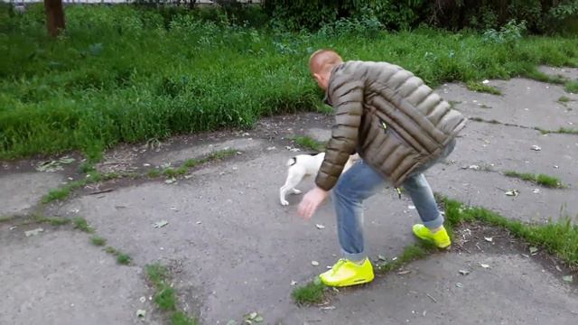 Погоня за Кексом# Круче утренней пробежки# смотреть онлайн