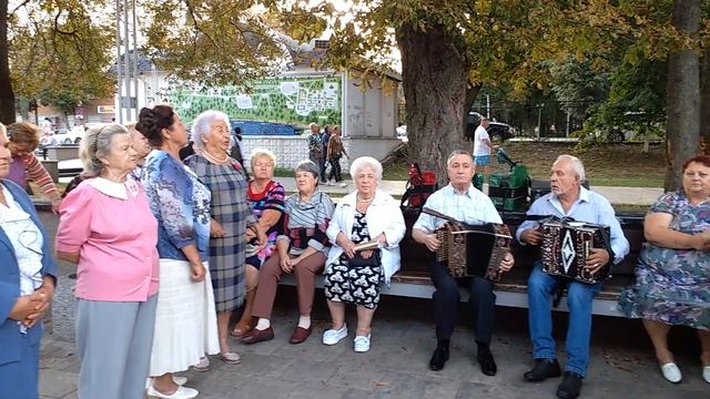 1557, Частушки, танцы, песни в парке под гармошку, Орёл, пятачок, орловцы, поют, танцуют под гармон смотреть онлайн