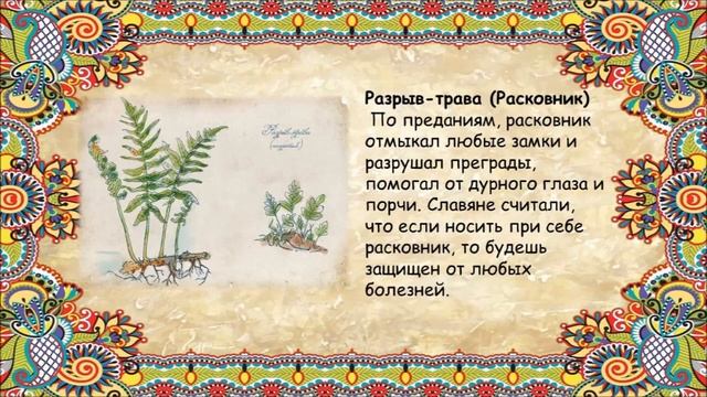 Магические травы смотреть онлайн