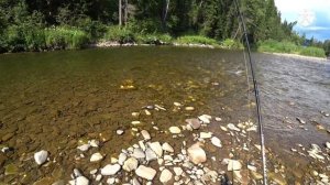 Рыбалка на хариуса верховьях горной реки ! хариус на бомбарду,хариус 2021