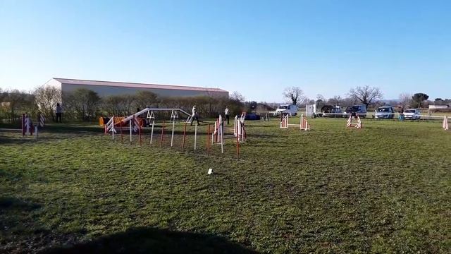 Agility std Manosque смотреть онлайн