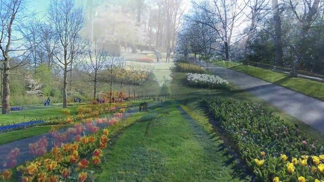 Прекрасно провели время в цветочном парке Кёкенхоф / Keukenhof 2022