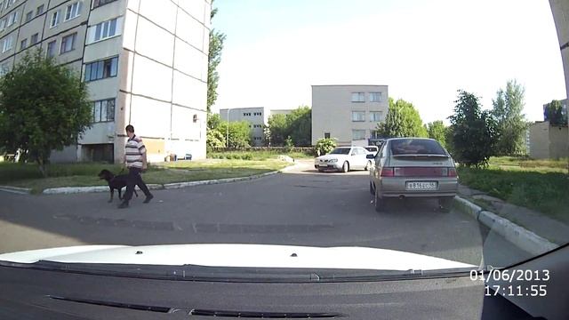 Собака без намордника 6мк. г. Курчатов смотреть онлайн