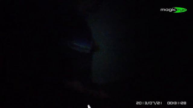 Ночная проверка подъезда. Маляры на стреме! смотреть онлайн