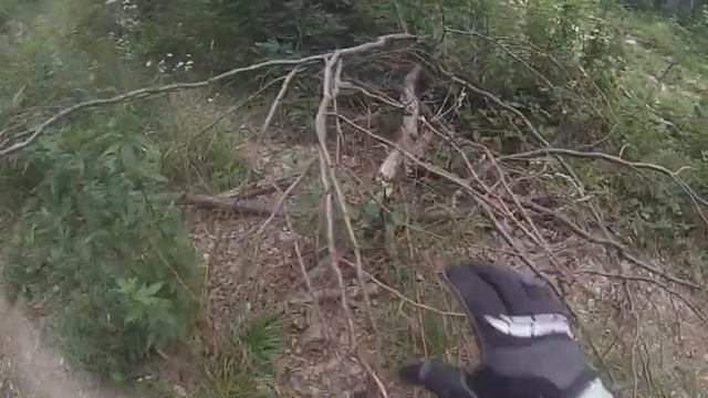 Adly 300 Interceptor