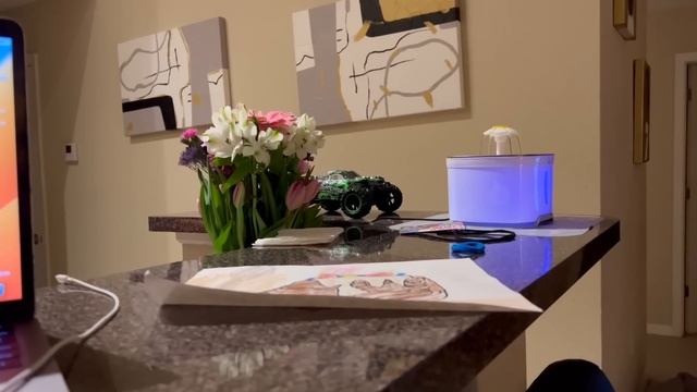 США Влог Чилим Обследование у Кати Лаврик хочет жить отдельно Что делать с языком? Big family VLOG смотреть онлайн