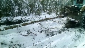 Т-40 трелёвка бесчокерным захватом.