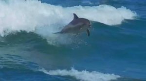 sarah brightman-eden(enigma remix) HD