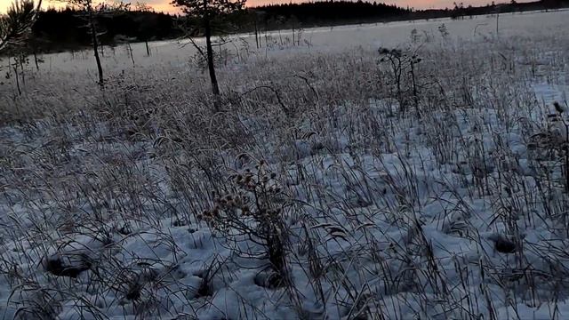 #Karelia#Guidedfishing#River#Lake#Weather#Мормышка#ПервыйЛёд Сегозеро и лесные озёра. смотреть онлайн