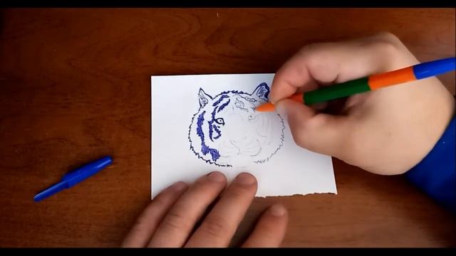 Рисую морду тигра шариковой ручкой 1 смотреть онлайн