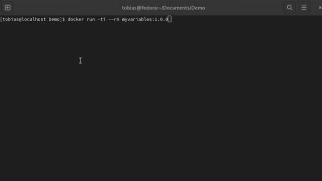 Docker - Passing variables into a docker container смотреть онлайн