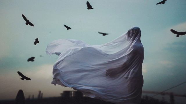 «Звуки» Поэт Кульчиновский Владислав смотреть онлайн