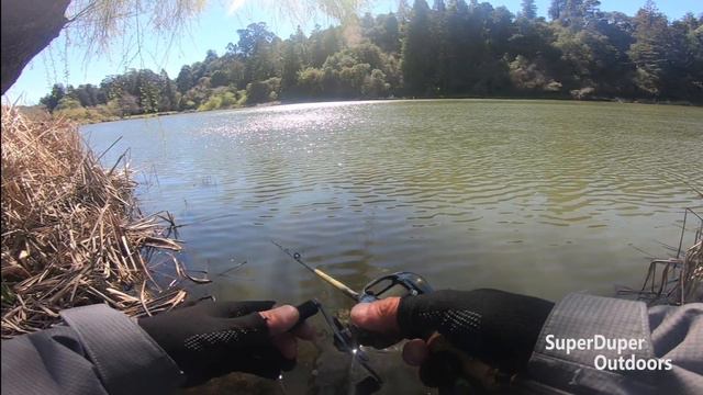 Monster 9 lb Trout on 2 lb Test with my Ultra Light BFS. смотреть онлайн