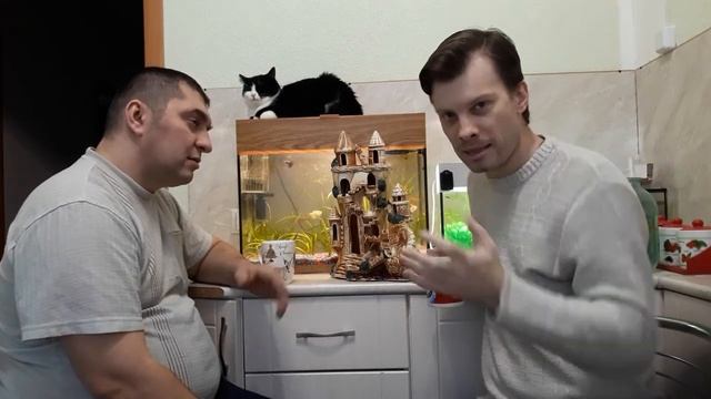 УБЕРИТЕ ЗАМОК ИЗ АКВАРИУМА! ВСЁ ОБ ОПАСНОСТИ ДЛЯ РЫБ УКРАШЕНИЙ В ВАШЕМ АКВАРИУМЕ смотреть онлайн