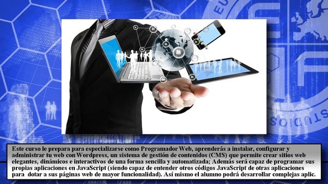 Programador Web Wordpress Php Javascripts Mysql - Cursos Online смотреть онлайн