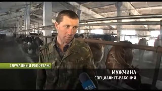 Случайный репортаж - Изобретён генератор новостей смотреть онлайн