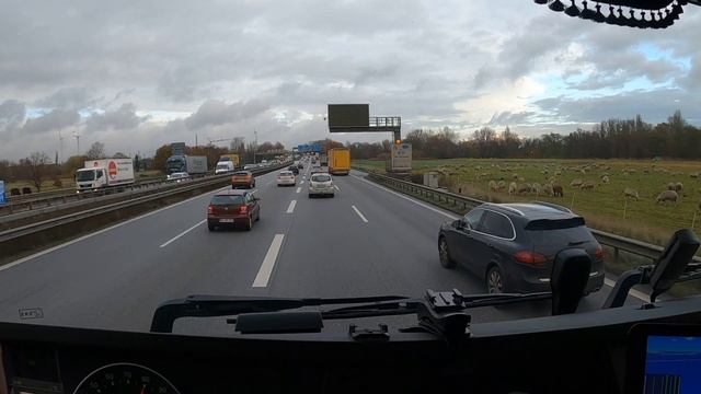 Увидел 2 крутые SCANIA S за один день. разгрузка и погрузка в Гамбурге.