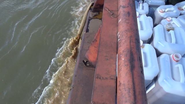 Потравка личинок мошки 2017. Павлодар. Видео Фёдора Ковалёва смотреть онлайн