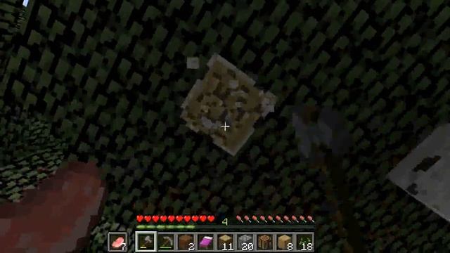 เอาชีวิตรอดในminecraft 1.13.3 смотреть онлайн