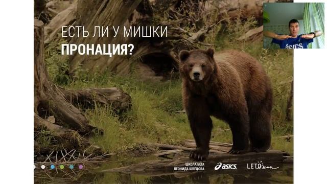 Вебинар "Экипировка для марафона" смотреть онлайн