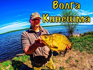 Рыбалка на Волге в Кинешме
