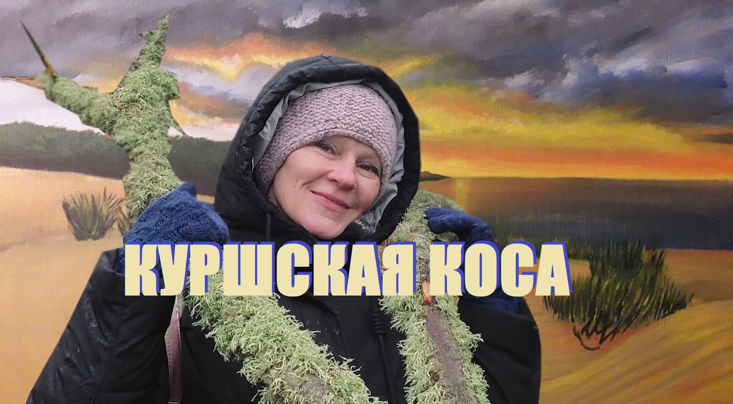 Контроль эмоций на КУРШСКОЙ КОСЕ в шторм,в последние ЗИМНИЕ деньки в Калининграде.МОРЕ,ЛИСА и БАННЕР