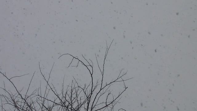 2014 12 07 Воскресный снегопад в Алмате, очень красиво! смотреть онлайн