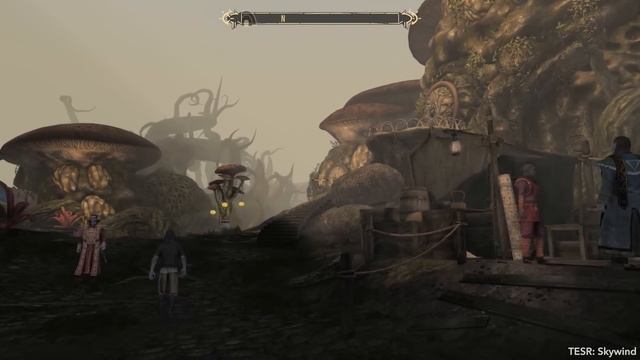 Der Riesige Skyrim-Vorgänger Kommt In Neuer Grafik Zurück! - Morrowind-Remake Skywind