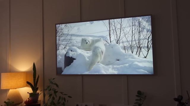 VLOG ❤️  НАШИ ДНИ ?? РАСПАКОВКА ПОДАРКОВ НА ВЫПИСКУ ИЗ РОДДОМА / ХОЧУ СКУПИТЬ НОВОГОДНИЙ АШАН ?