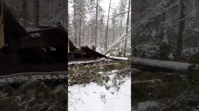 Тт 4 и лт 65 работа на деляне. смотреть онлайн