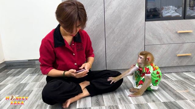 Monkey Kaka made her mother heartbroken by breaking her phone смотреть онлайн