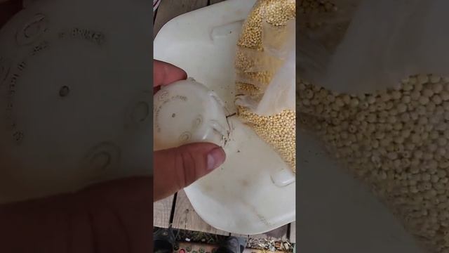 Как быстро и просто почистить канистру или бутыль изнутри. Никакой ХИМИИ!!! смотреть онлайн