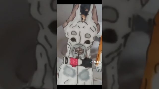 подборка видео про бумажных собак смотреть онлайн