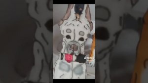 подборка видео про бумажных собак