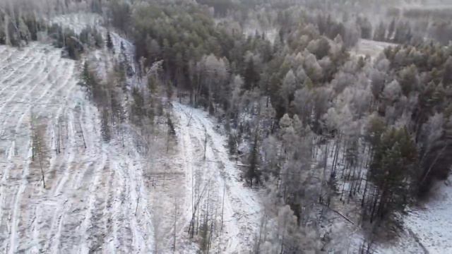 Государственное задание: Уярское лесничество смотреть онлайн