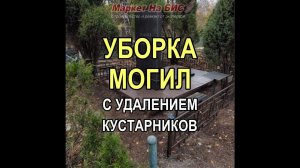 538M - Уборка могил с удалением и подрезкой старых кустарников + мойка памятника (Кривой Рог)