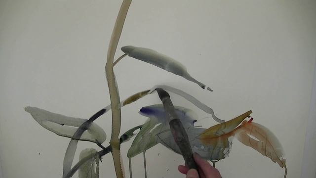 Aquarell смотреть онлайн