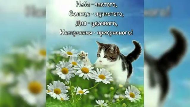 Поздравление с днём Ангела Батюшку 7 февраля 2021 г. смотреть онлайн