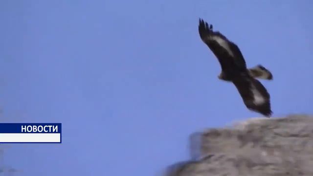 Природа Таджикистан Новый Дубай смотреть онлайн