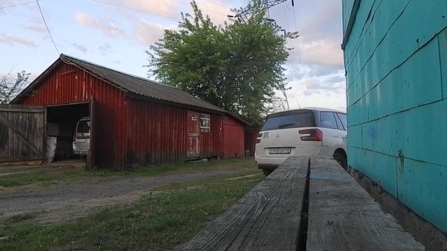 Рассвет в селе. Конец мая. Щебет птиц, лай собак, начинают "петь" петухи на рассвете. смотреть онлайн