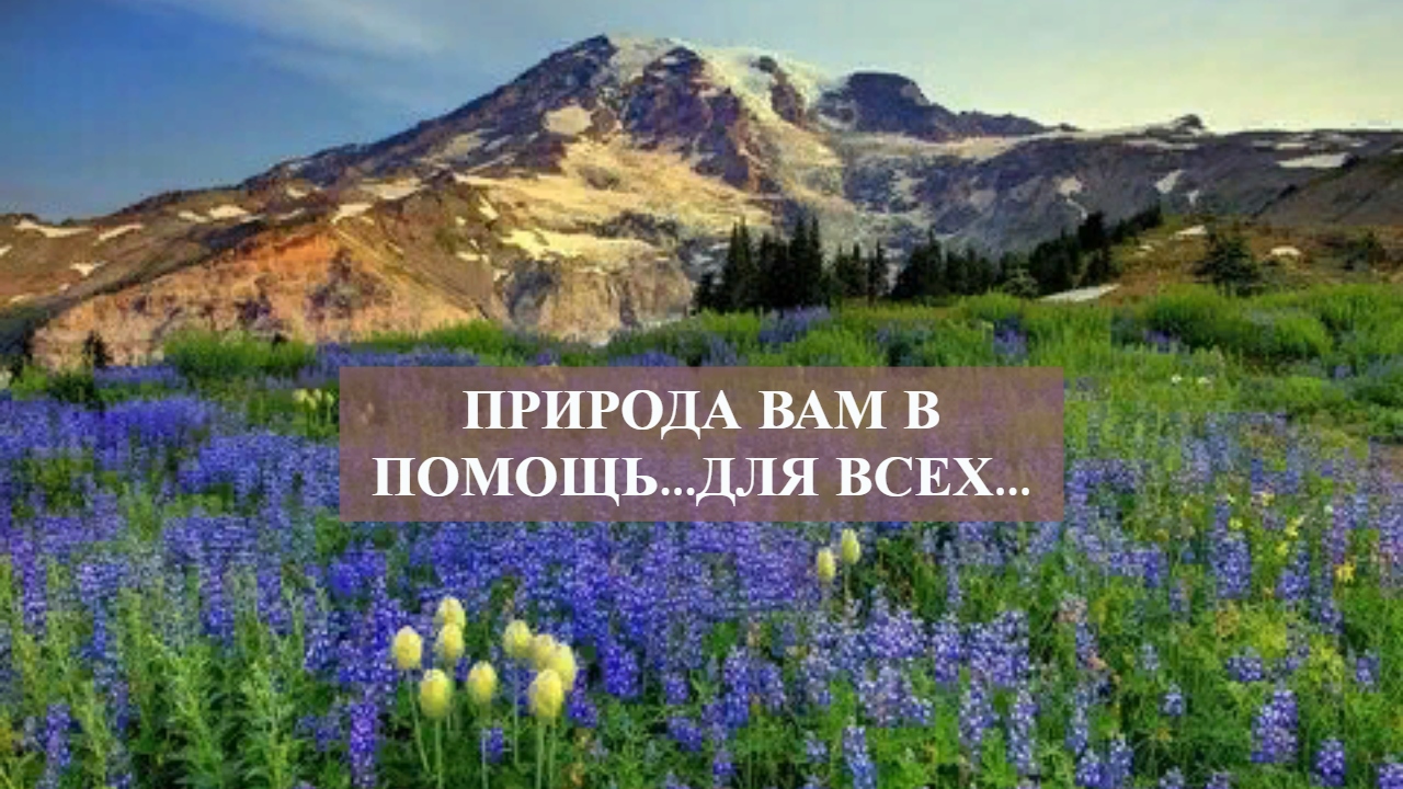 ПРИРОДА ВАМ В ПОМОЩЬ...ДЛЯ ВСЕХ....mp4 смотреть онлайн