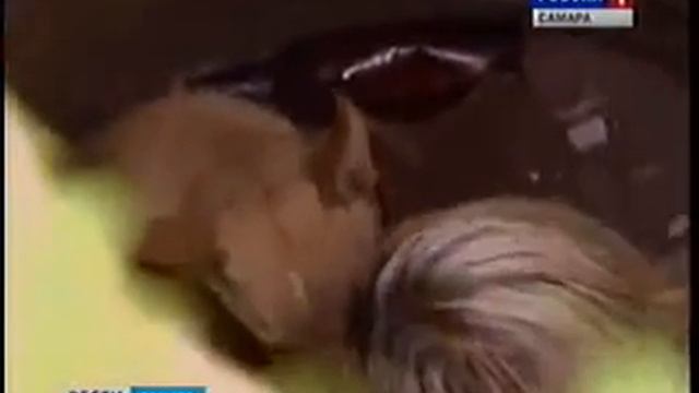 Пленница подземелья смотреть онлайн