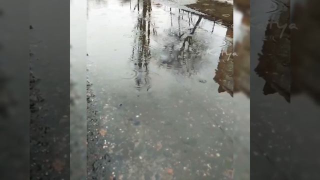 "без тебя" #стихи #поэзия #любовь смотреть онлайн