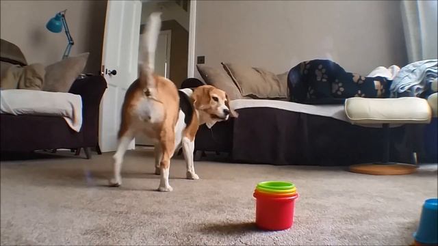 stacking game смотреть онлайн