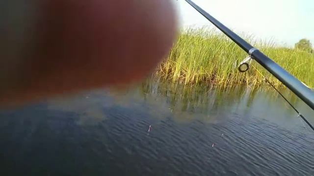 Рыбалка с Эльдаром смотреть онлайн